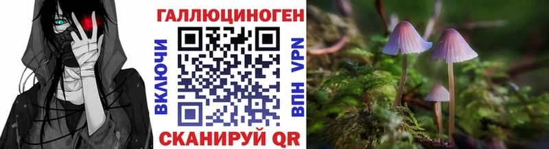 ссылка на мегу ТОР  Юхнов  Псилоцибиновые грибы MAGIC MUSHROOMS 
