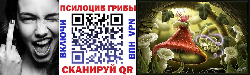 Псилоцибиновые грибы мухоморы Юхнов